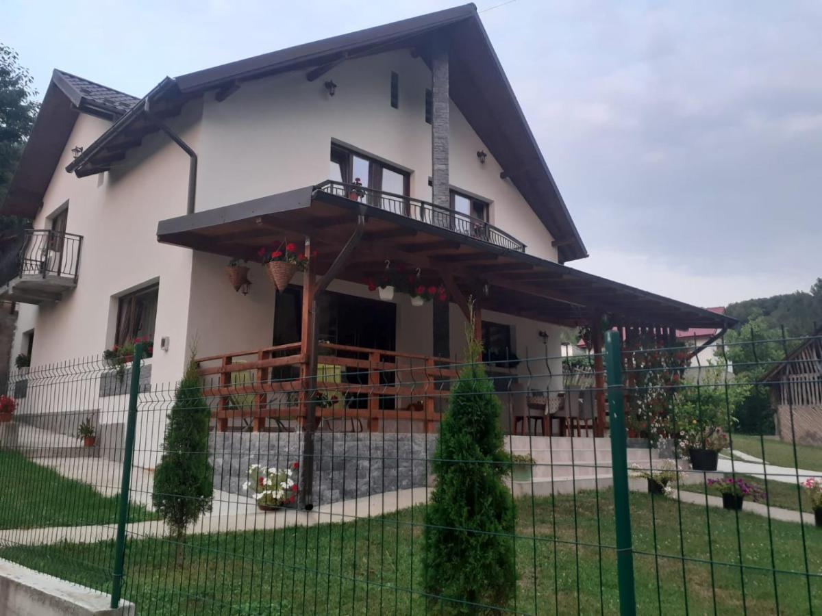 Casa Alex Ξενοδοχείο Curtea de Argeş Εξωτερικό φωτογραφία
