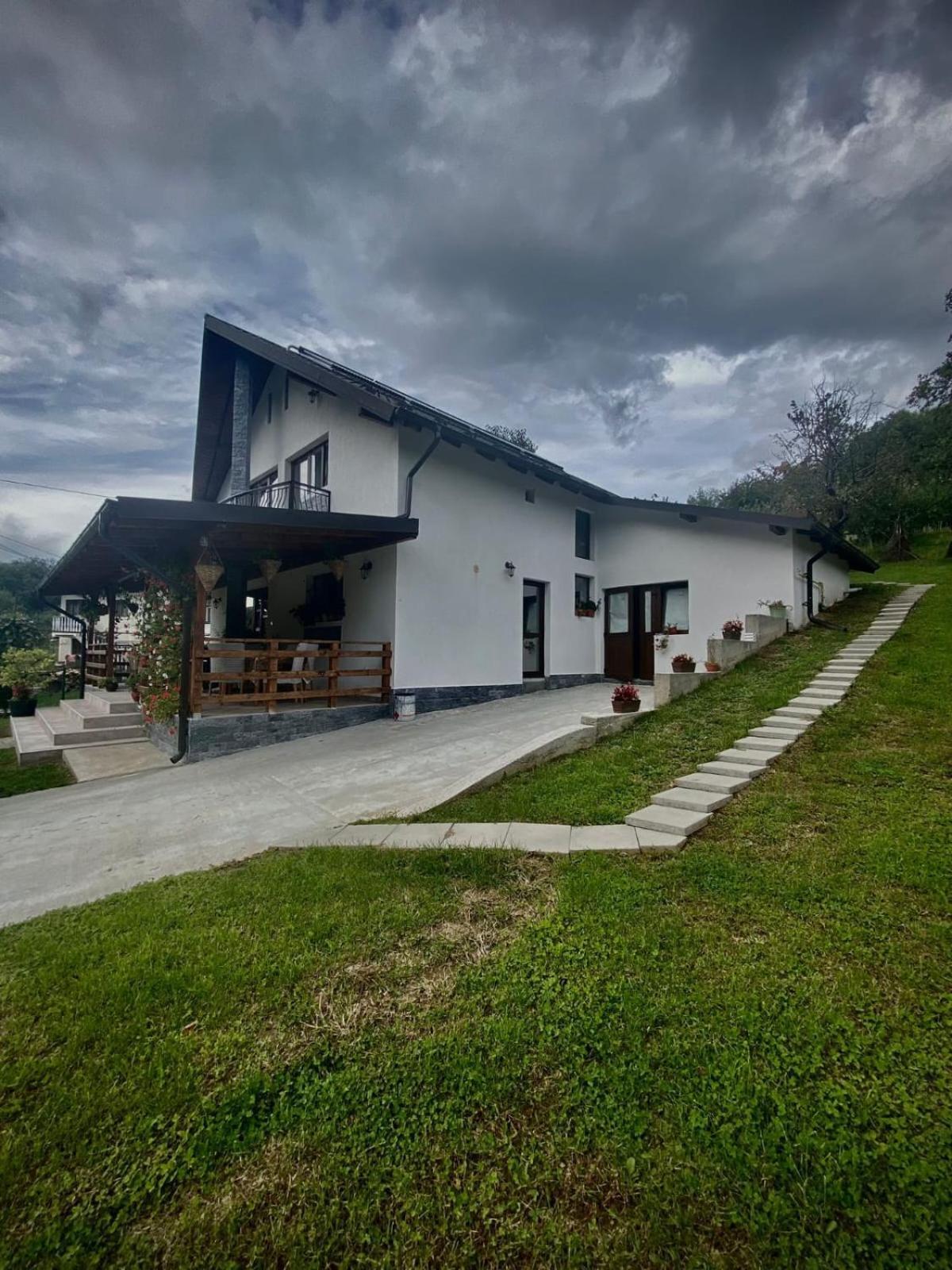 Casa Alex Ξενοδοχείο Curtea de Argeş Εξωτερικό φωτογραφία