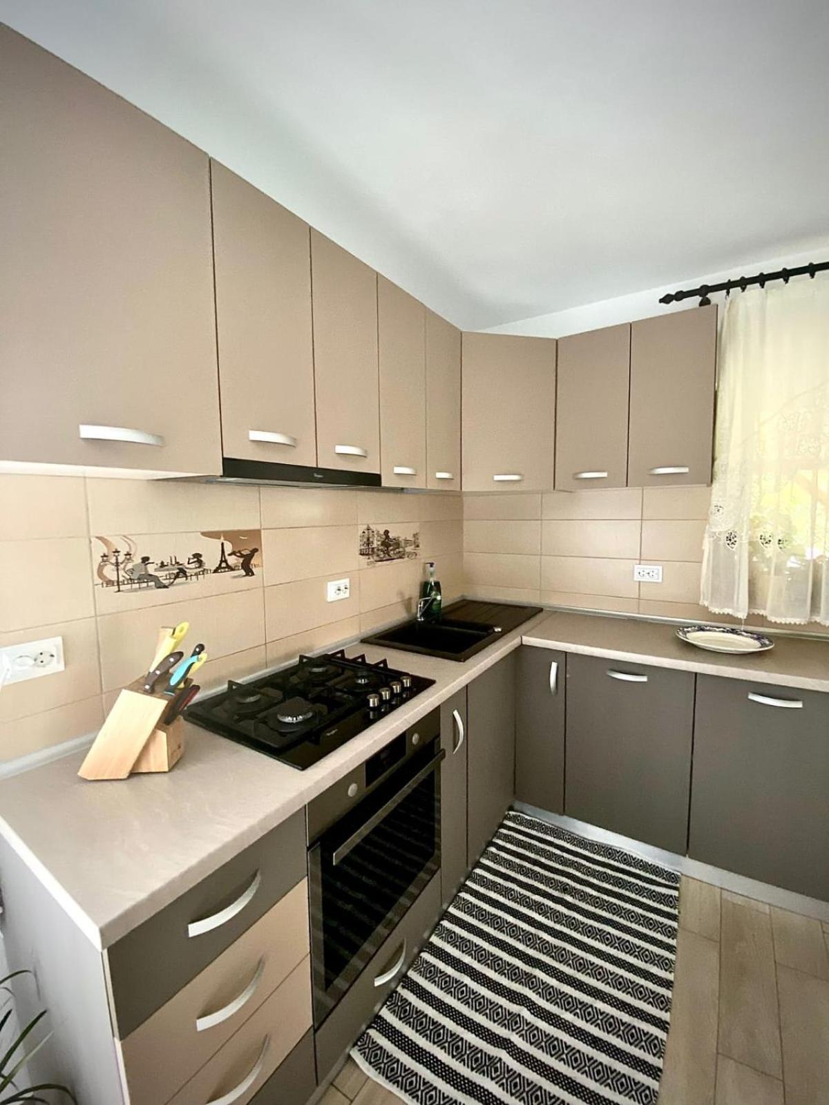 Casa Alex Ξενοδοχείο Curtea de Argeş Εξωτερικό φωτογραφία